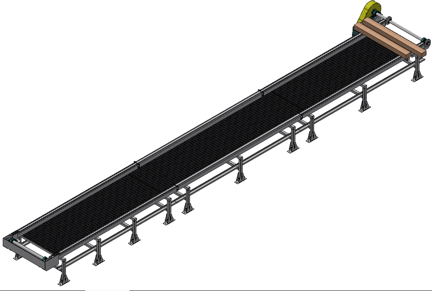 Chain Conveyor 4